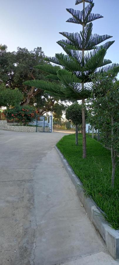 Monte Da Vinha Nova Villa Santiago do Cacém Eksteriør bilde